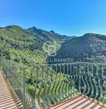 Foto annuncio 20