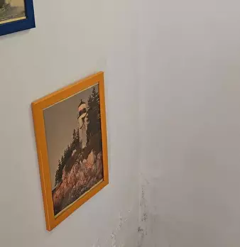 Foto annuncio 36