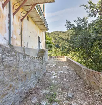 Foto annuncio 36