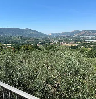 Foto annuncio 6