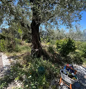 Foto annuncio 4