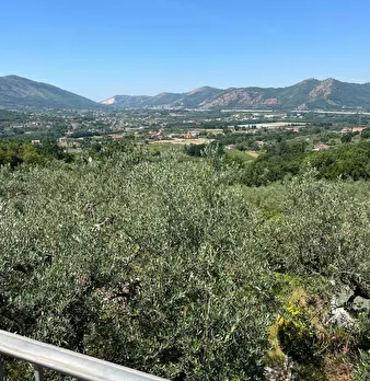 Foto annuncio 5
