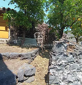 Foto annuncio 15