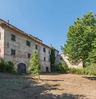 Foto annuncio 18