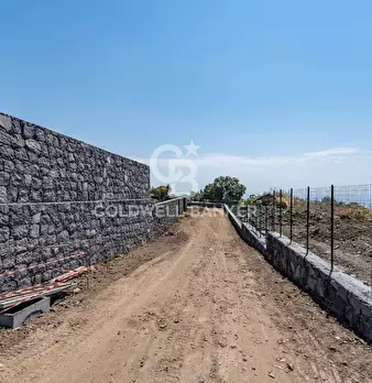 Foto annuncio 19