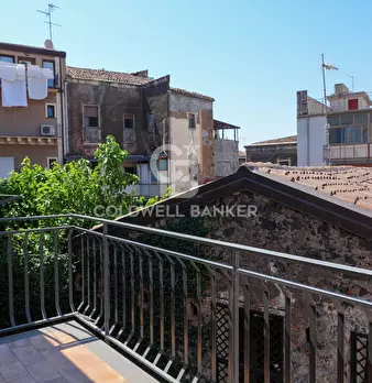 Foto annuncio 31