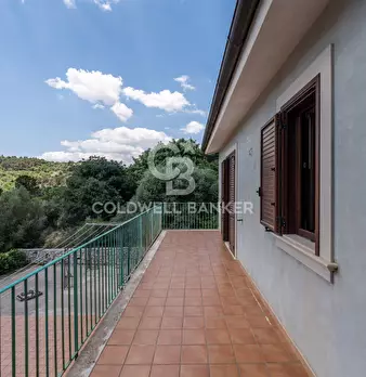Foto annuncio 26