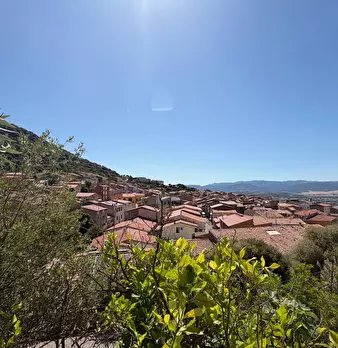 Foto annuncio 16