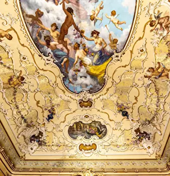 Foto annuncio 8