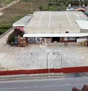 Foto annuncio 2