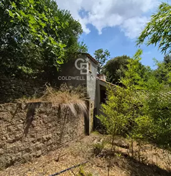 Foto annuncio 8