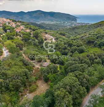 Foto annuncio 9