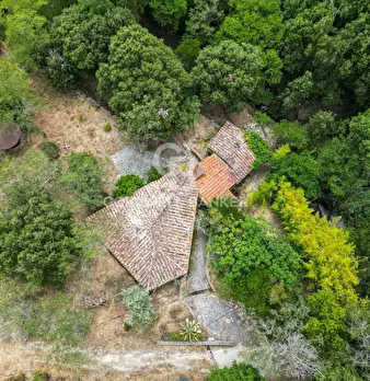 Foto annuncio 11