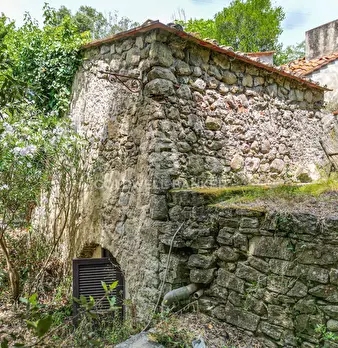 Foto annuncio 5