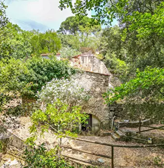 Foto annuncio 10