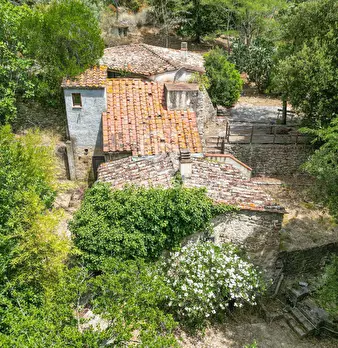 Foto annuncio 1