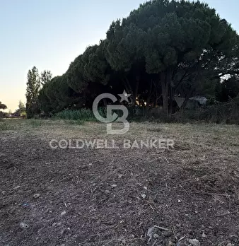 Foto annuncio 4
