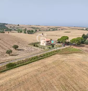 Foto annuncio 64