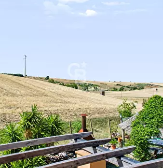Foto annuncio 42