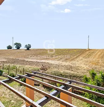 Foto annuncio 43