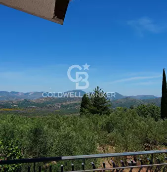 Foto annuncio 13