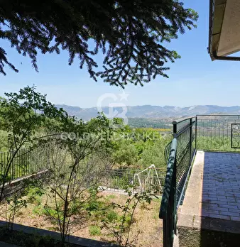 Foto annuncio 10