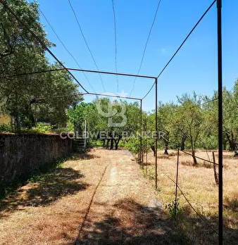 Foto annuncio 34