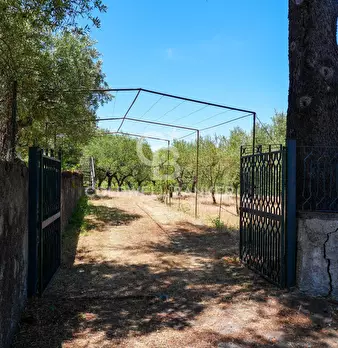 Foto annuncio 36
