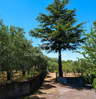 Foto annuncio 7