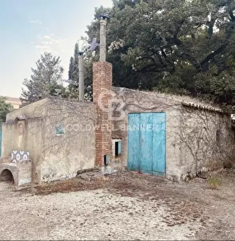 Foto annuncio 2