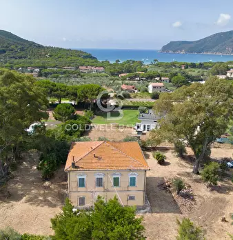 Foto annuncio 1