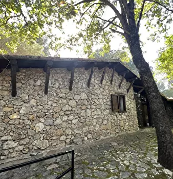 Foto annuncio 3