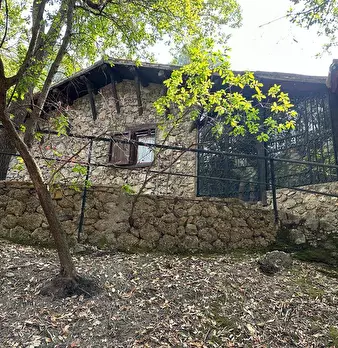 Foto annuncio 4
