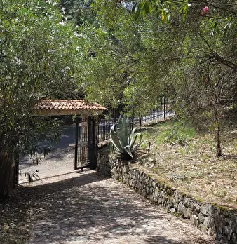 Foto annuncio 29
