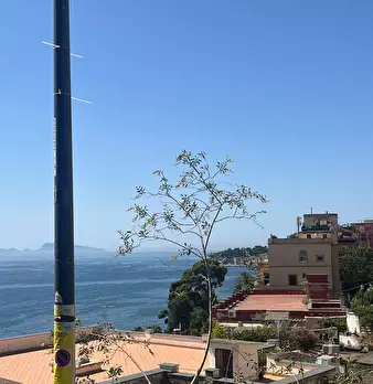 Foto annuncio 17