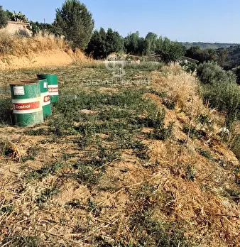 Foto annuncio 18