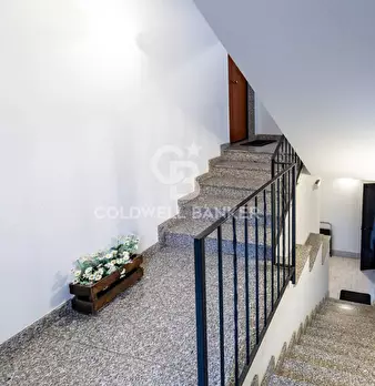 Foto annuncio 31