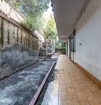 Foto annuncio 54
