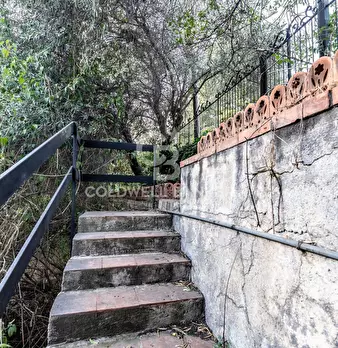 Foto annuncio 66