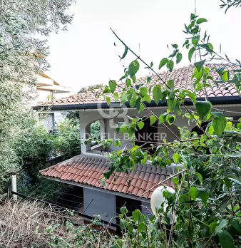 Foto annuncio 71