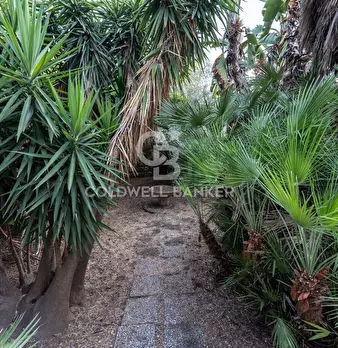 Foto annuncio 80