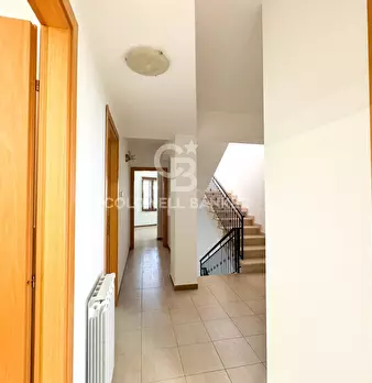 Foto annuncio 35