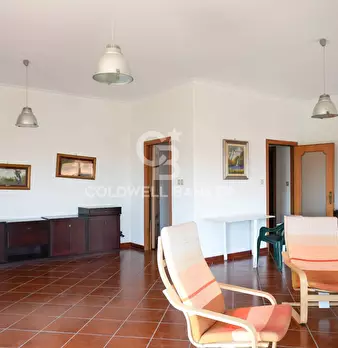 Foto annuncio 43