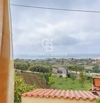 Foto annuncio 24