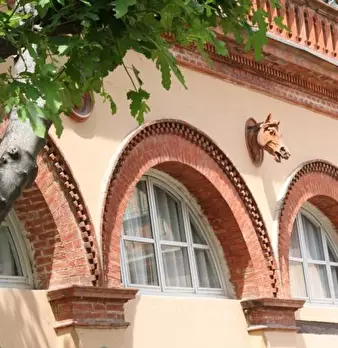 Foto annuncio 3