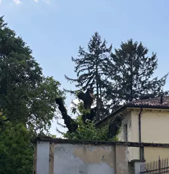 Foto annuncio 24