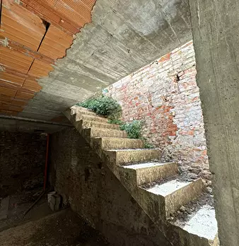 Foto annuncio 10