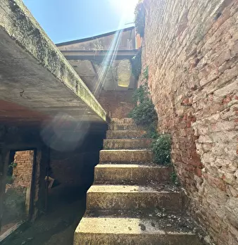 Foto annuncio 11