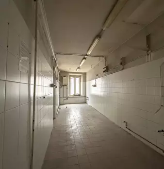 Foto annuncio 12