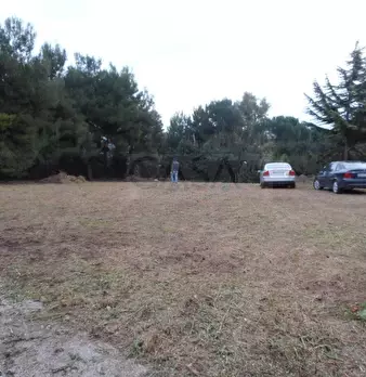 Foto annuncio 10